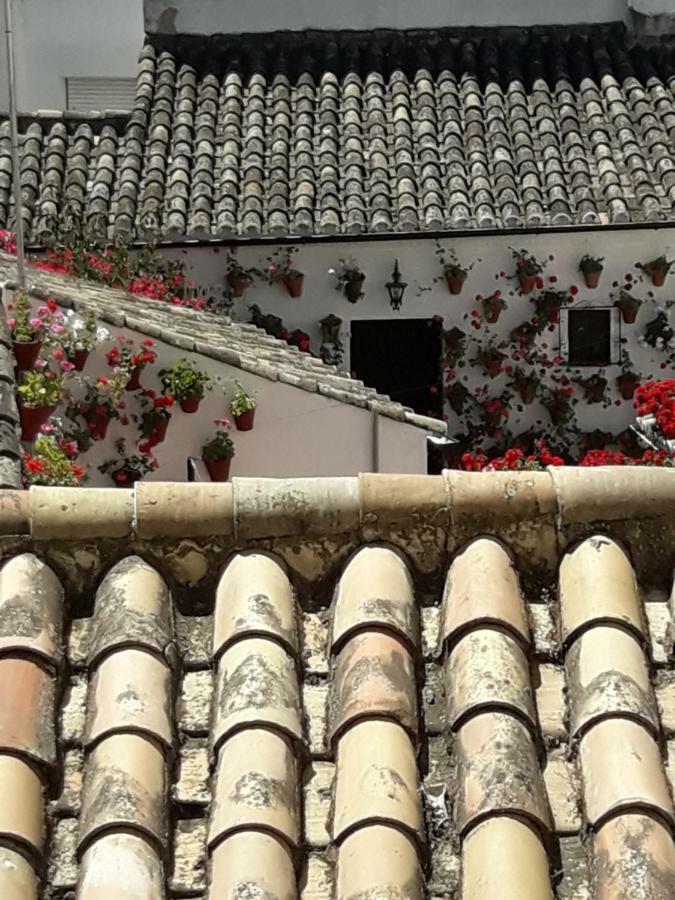 Los Tejares Del Alcazar Кордова Экстерьер фото